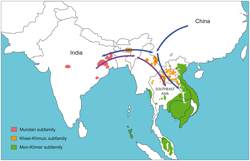 Map of HLA genes, mtDNA, Y-chromosome and classical markers