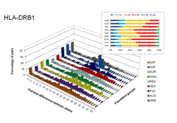 Graph of the high number of nucleotide differences between HLA alleles 