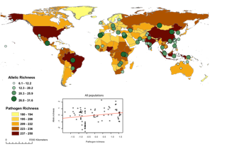 Map of the diversity of HLA genes is partly related to the distribution of pathogen richness in the world